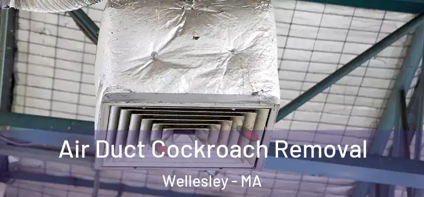  Air Duct Cockroach Removal Wellesley - MA