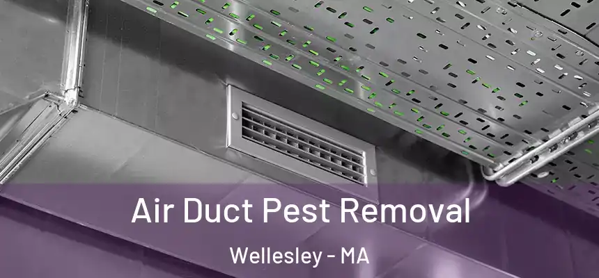  Air Duct Pest Removal Wellesley - MA