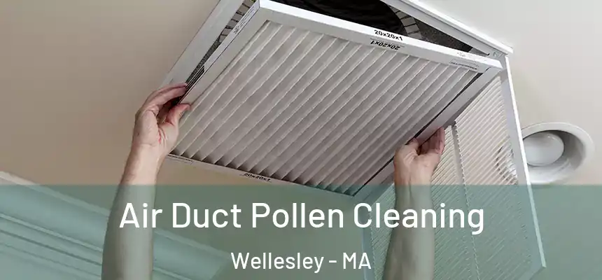 Air Duct Pollen Cleaning Wellesley - MA