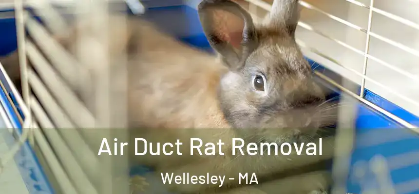 Air Duct Rat Removal Wellesley - MA