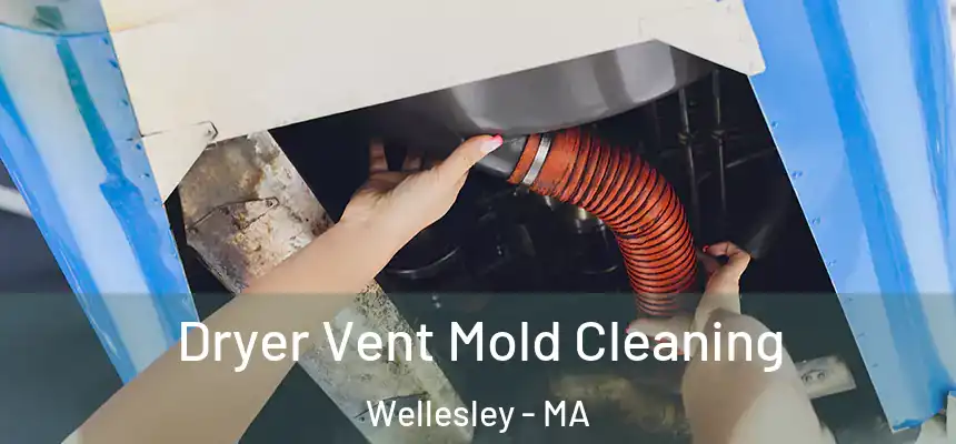 Dryer Vent Mold Cleaning Wellesley - MA