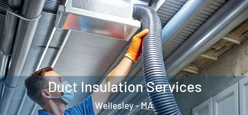 Duct Insulation Services Wellesley - MA