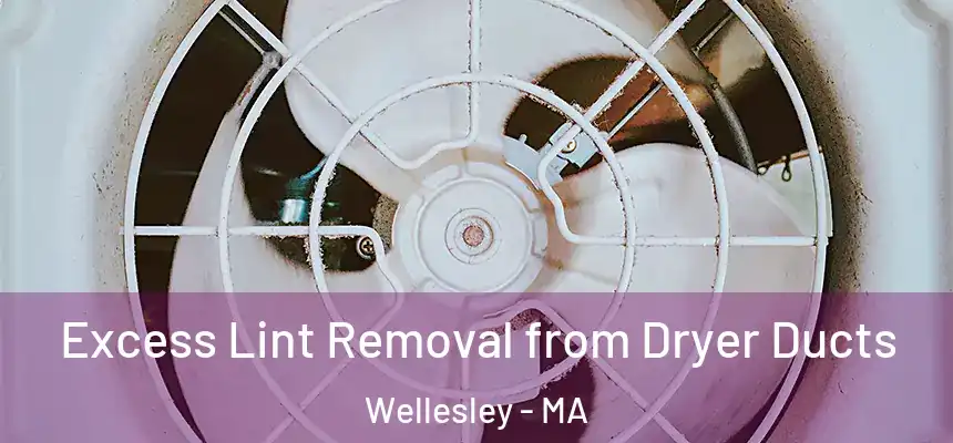 Excess Lint Removal from Dryer Ducts Wellesley - MA