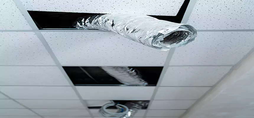 Affordable HVAC Sanitizing After Pest Removal in Wellesley