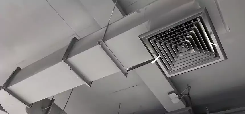 Restorative Allergy Relief Vent Cleaning – Coil, Blower & Housing Detail in Wellesley