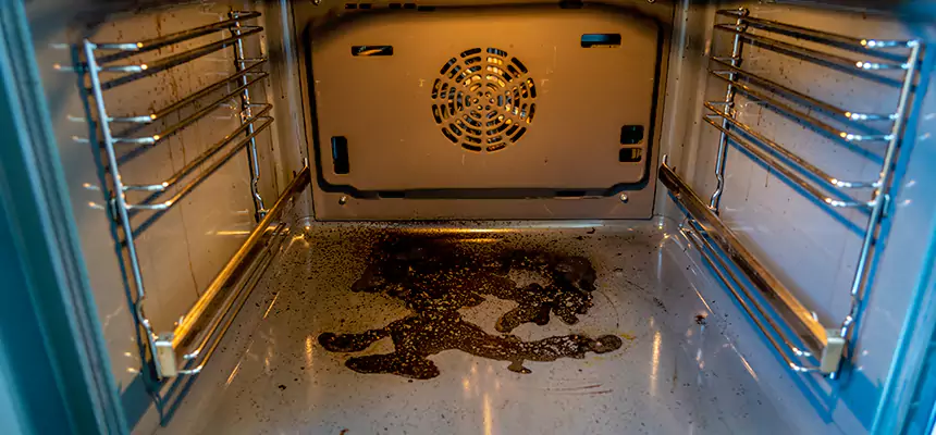 Our Dryer Vent Mold Cleaning Services in Wellesley, MA