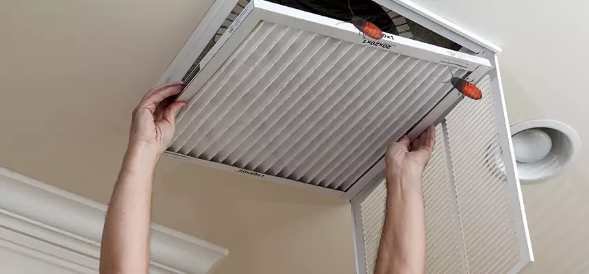 Our Insect Removal from Air Ducts Services in Wellesley, MA