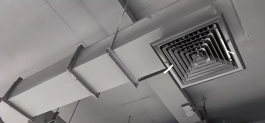 Our Pest Removal From Ducts Services in Wellesley, MA