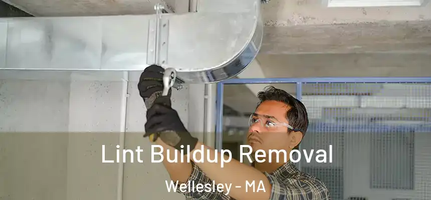 Lint Buildup Removal Wellesley - MA