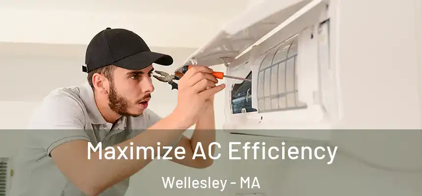 Maximize AC Efficiency Wellesley - MA