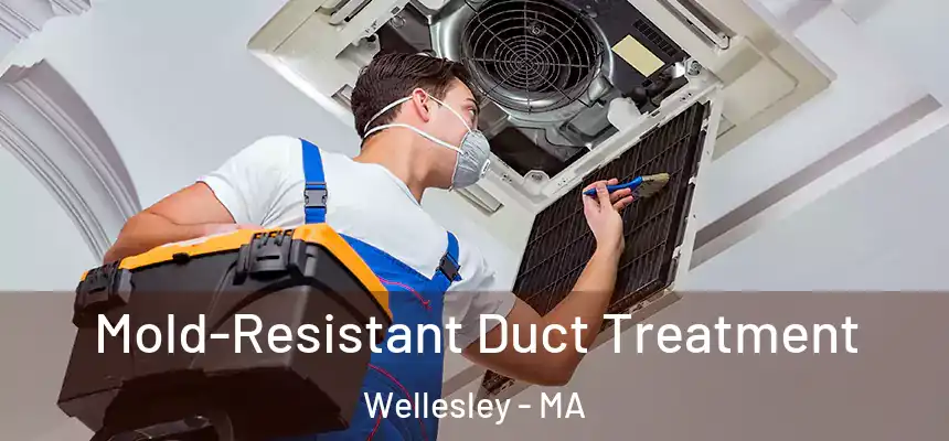  Mold-Resistant Duct Treatment Wellesley - MA