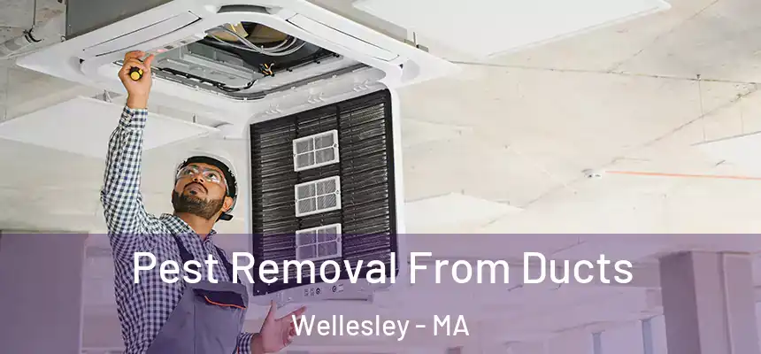  Pest Removal From Ducts Wellesley - MA