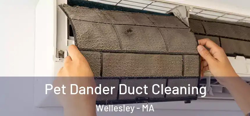  Pet Dander Duct Cleaning Wellesley - MA