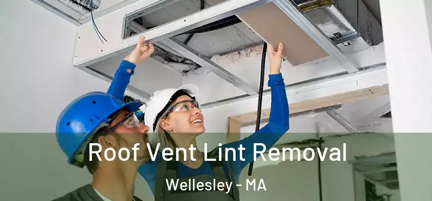 Roof Vent Lint Removal Wellesley - MA