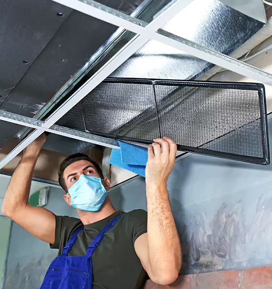 About Air Duct Bacteria Removal in Wellesley
