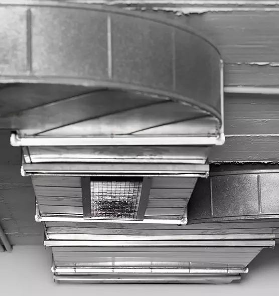 Professional Air Duct Pest Removal in Wellesley, MA