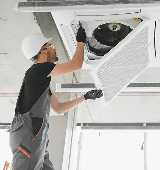 About Air Duct Rodent Removal in Wellesley, MA