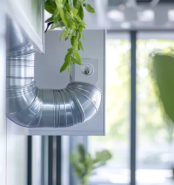 Professional Eco-Friendly Duct Cleaning Services in Wellesley, MA