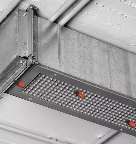 Affordable Insect Removal from Air Ducts in Wellesley, MA