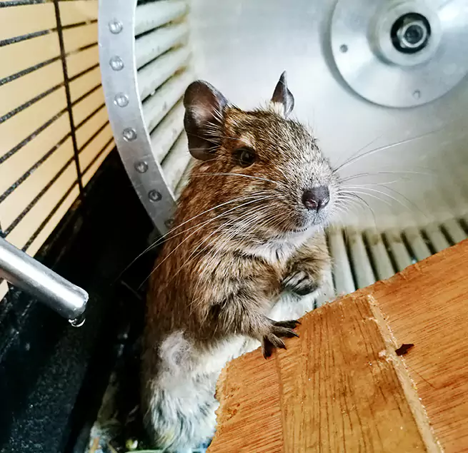 Why Homeowners & Businesses Trust Us Wellesley, MA