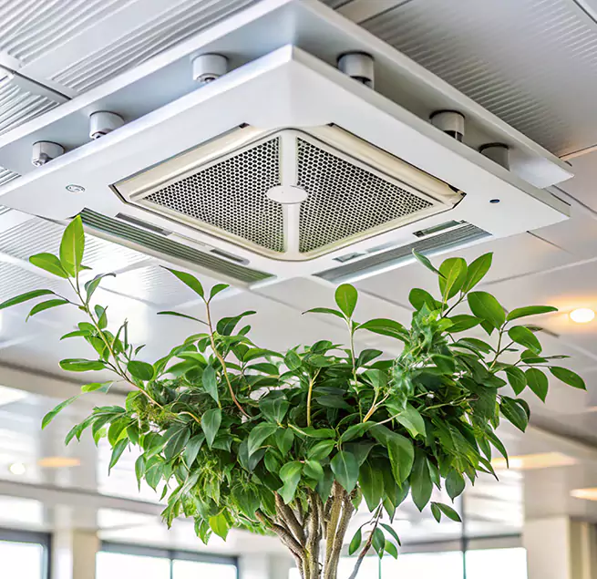 Why Homeowners & Businesses Trust Us in Wellesley, MA