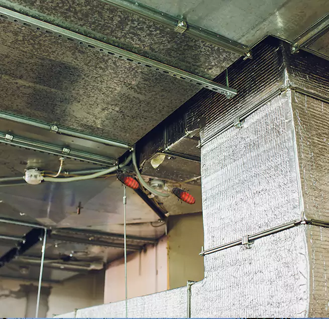 Why Homeowners & Businesses Trust Us Wellesley, MA?