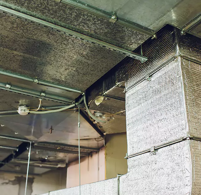 Why Homeowners & Businesses Trust Us in Wellesley, MA?