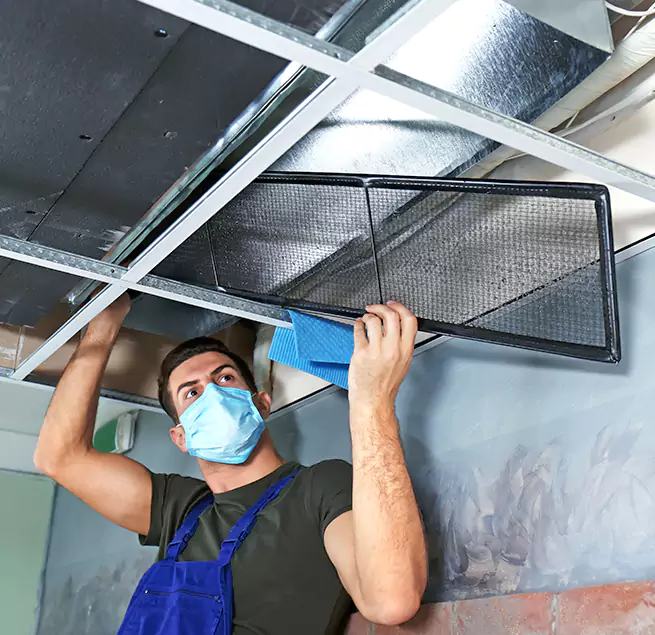 Why Homeowners Businesses Trust Us in Wellesley, MA?